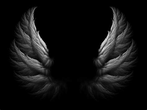 angel wings on black background|black angel wings wallpaper.